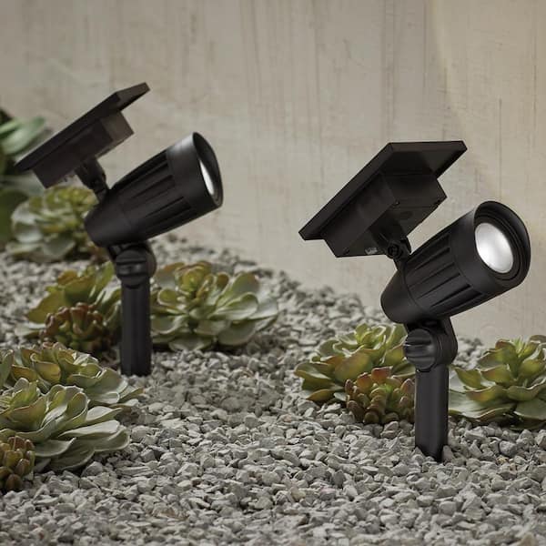 Solar 50 Lumens Black Outdoor Integrated LED Adjustable Beam Spotlight (2-Pack); Weather/Water/Rust Resistant