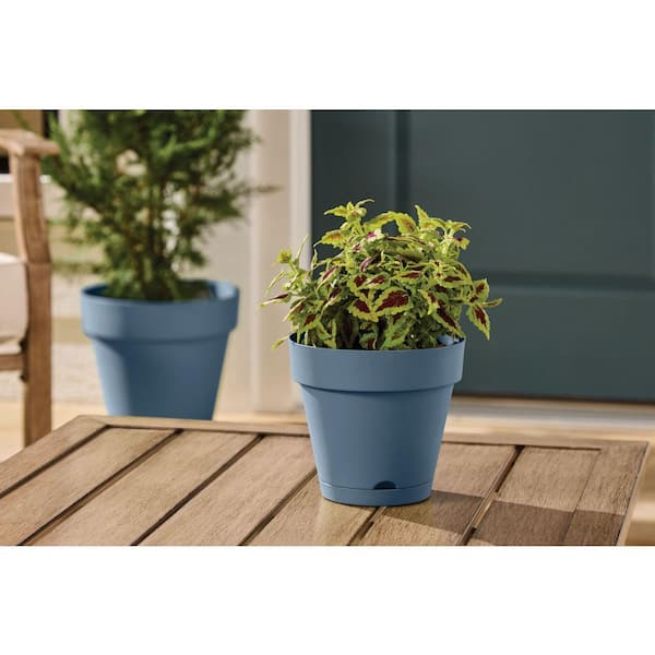 Vivienne Small Blue Plastic Round Self-Watering Planter with Attached Saucer (6 in. L x  in. 6 W x 5.51 in. H)