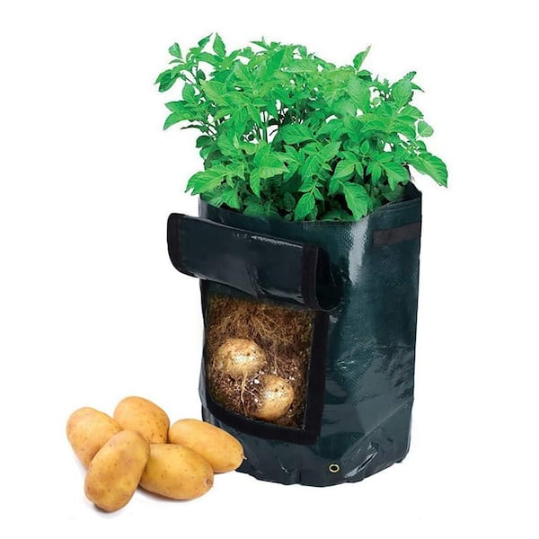 Buy Plant Grow Bags Home Garden Potato Greenhouse Vegetable Growing  Moisturizing Jardin Vertical Bag Seedling by Just Green Tech on Dot & Bo