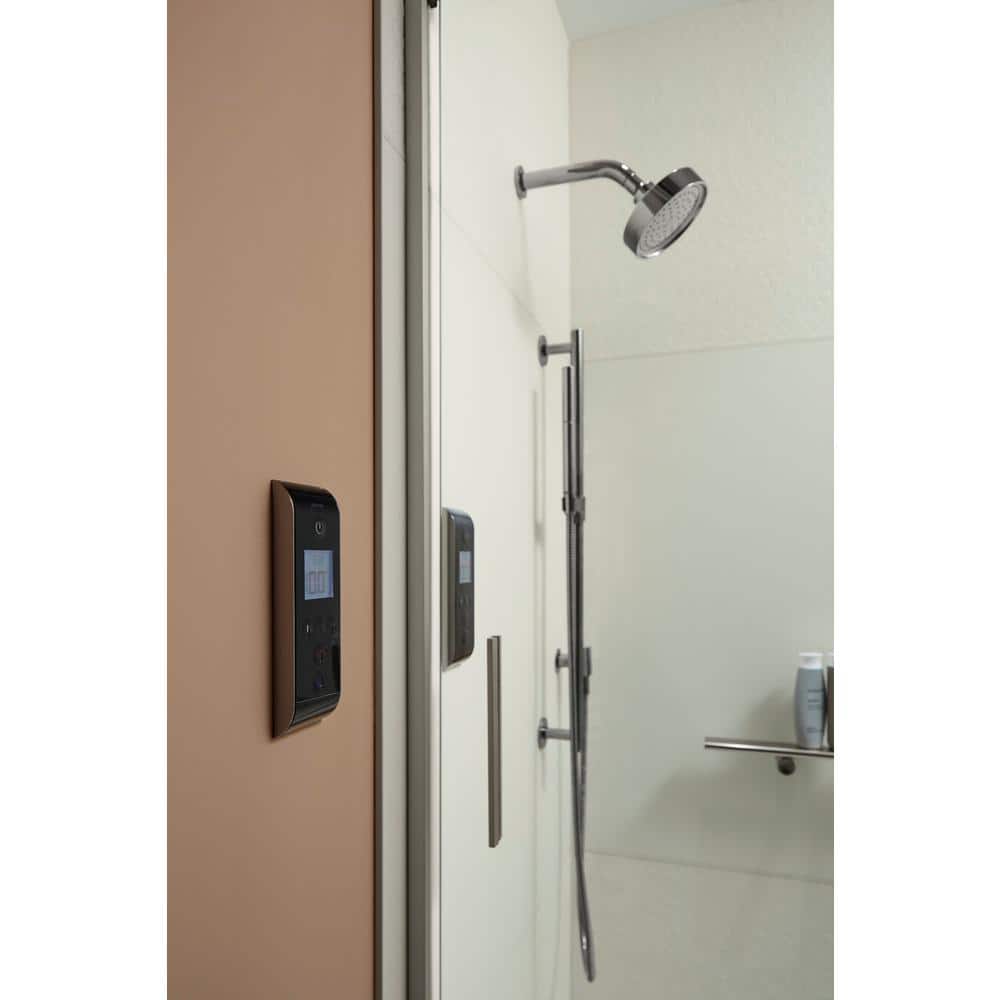 Vibrant Titanium 60-Inch Metal Shower Hose