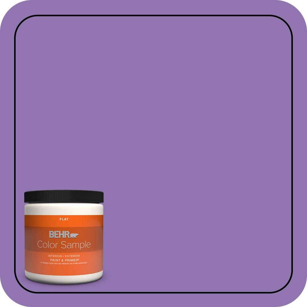8 oz. #P570-5 Romantic Moment Flat Interior/Exterior Paint & Primer Color Sample price history on PriceWatchPro