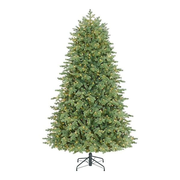 7.5 ft. Montrose Douglas Fir LED Pre-Lit Artificial Christmas Tree T20