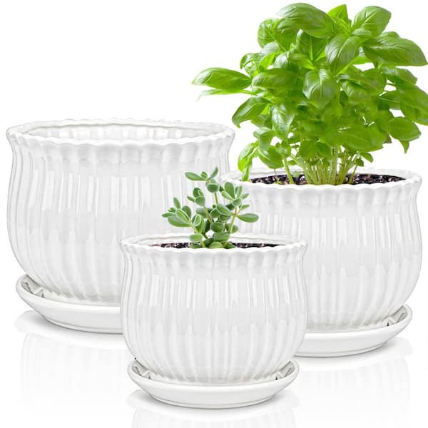 Ceramic Plant Pots with Saucers, Set of 3 Modern Round Succulent Planters with White Stripe for Indoor Garden