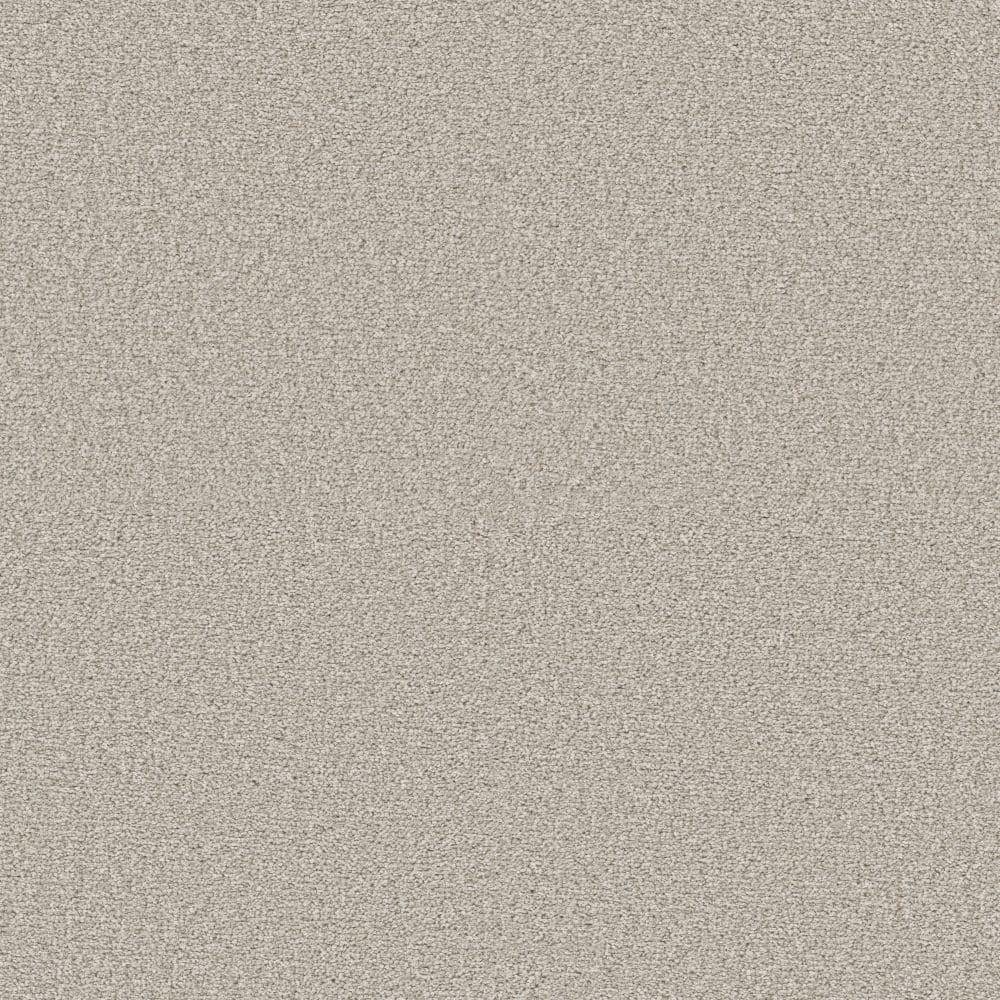 8 in. x 8 in. Texture Carpet Sample - Enchanted -Color Nutria price history on PriceWatchPro
