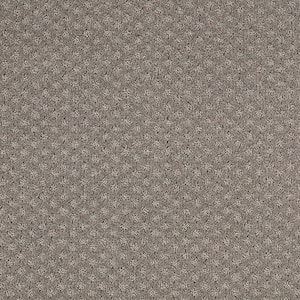 Transcends Time Marina Gray 39 oz. Triexta Pattern Installd Carpet