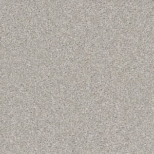 Perfected I  - First Class - Gray 40 oz. SD Polyester Texture Installed Carpet