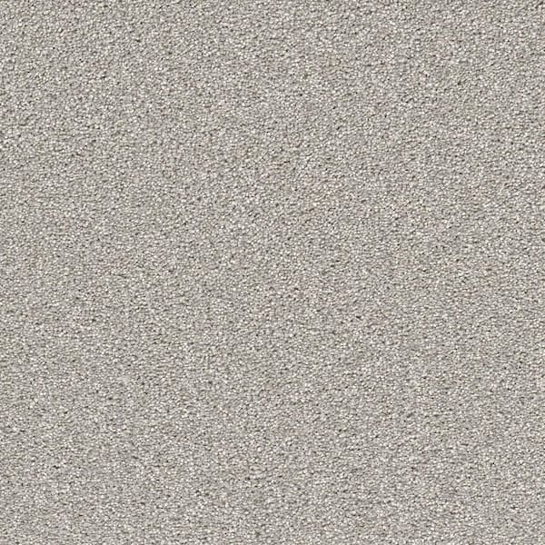 Home Decorators Collection Perfected I  - First Class - Gray 40 oz. SD Polyester Texture Installed Carpet