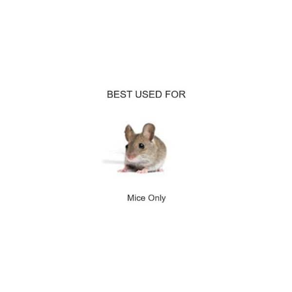 Hold-Fast Disposable Mouse and Insect Glue Board Traps (4-Pack)