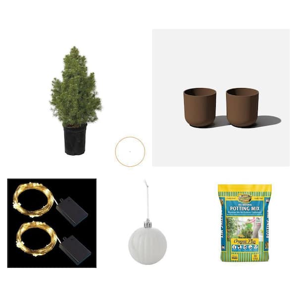 2.5 qt. Dwarf Alberta Spruce (2), 10 in. Planter (2), Fairy Lights (2), Ornaments (24), 40 qt. Potting Mix