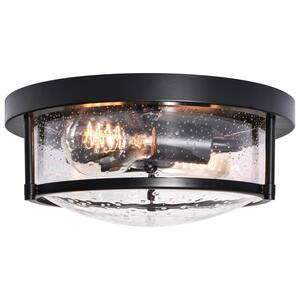 Razia 10 in. 2-Light Flush Mount Ceiling Lights with Water-drop Glass Shade