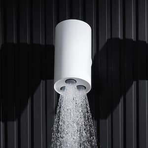 1-Spray Patterns with 6.9 GPM 3.15 in. Wall Mount Fixed Shower Head in White Rain Round