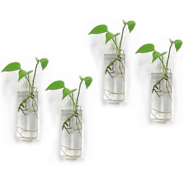 4.7 in. x 4.7 in. Clear Glass Hanging Wall Planters-4 Pack Terrarium Plant Holders for Indoor Plants