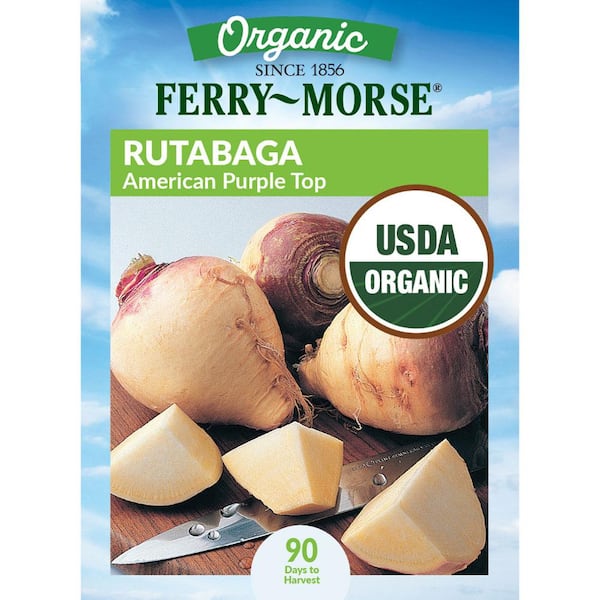 Organic Rutabaga American Purple Top Vegetable Seeds