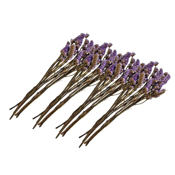 21 in. Purple Indoor Non Artificial Dried Preserved Myosotis-Pack of 4