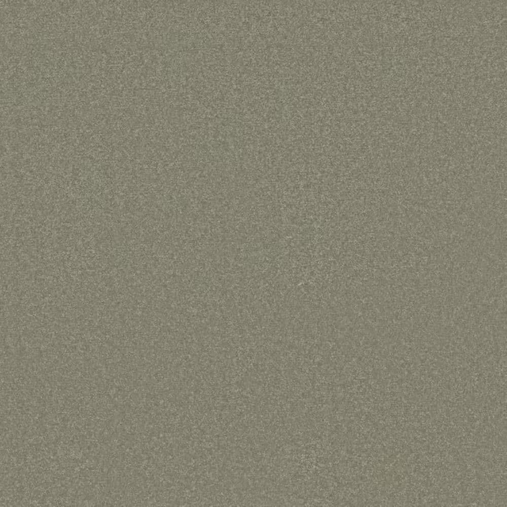 8 in. x 8 in. Texture Carpet Sample-Park Royal II-Color Soft Fern price history on PriceWatchPro