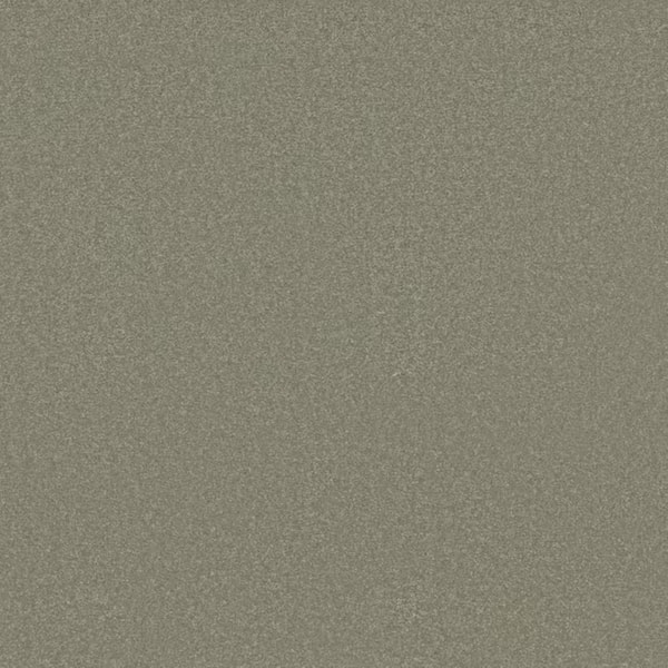 8 in. x 8 in. Texture Carpet Sample-Park Royal I-Color Soft Fern