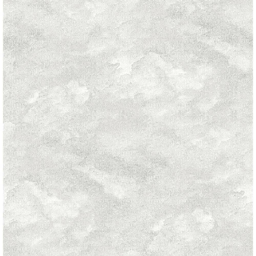 Light Grey Declan Peel and Stick Wallpaper Sample price history on PriceWatchPro