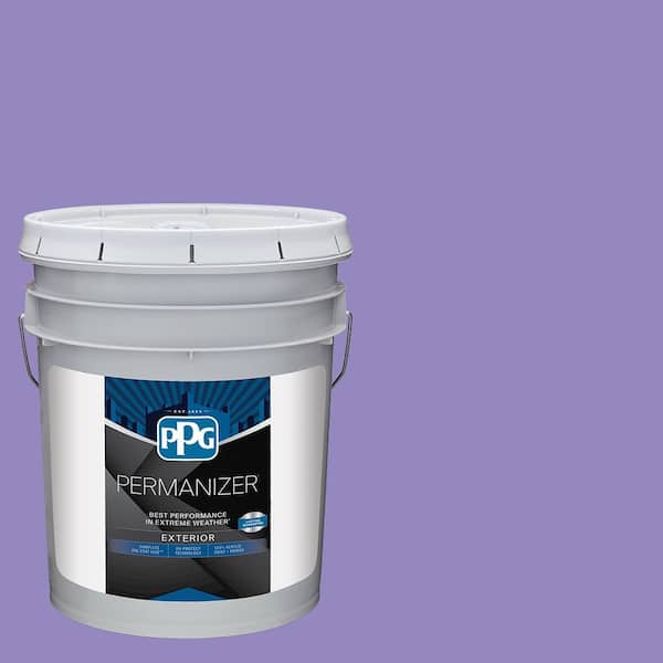PERMANIZER 5 gal. PPG1248-6 Magic Carpet Semi-Gloss Exterior Paint