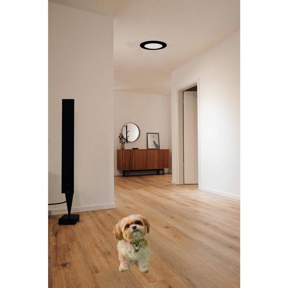 Elegant White 6" Round LED Down Light for Indoor/Outdoor Use