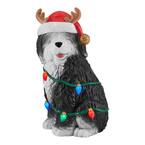 Home Accents Holiday 30 in Christmas Sheep Dog 22DK01090 - The