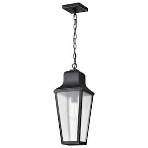 Lawrence 20 in. 1-Light Matte Black Dimmable Outdoor Pendant Light Fixture with Clear Seeded Glass Shade