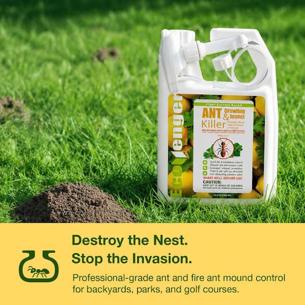Healthy Lawn Full Website (Copy, 234 selected)