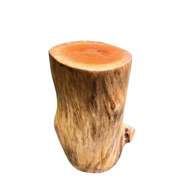 Jackfruit Nangka Brown Wood Log Stand - Large