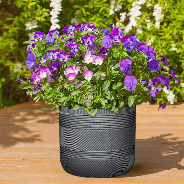 Richmond 15 in. x 15 in. Raven Wash Resin Self-Watering Planter