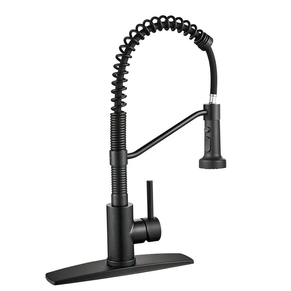 Single-Handle Pull Down Sprayer Kitchen Faucet with Spring Neck in Black