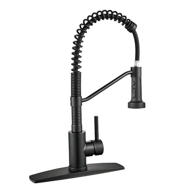 ANZA Single-Handle Pull Down Sprayer Kitchen Faucet with Spring Neck in Black