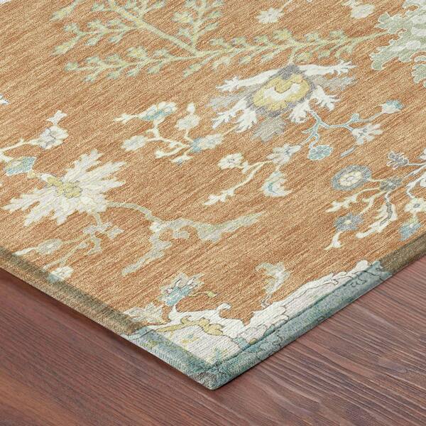 Chantille Machine Washable Indoor/Outdoor Abstract ACN2676 Copper 3 ft. x 4 ft. Area Rug