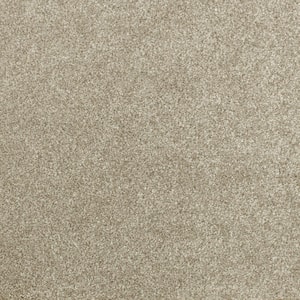 Denfort - Picnic-Brown 70 oz. Triexta PET Texture Installed Carpet