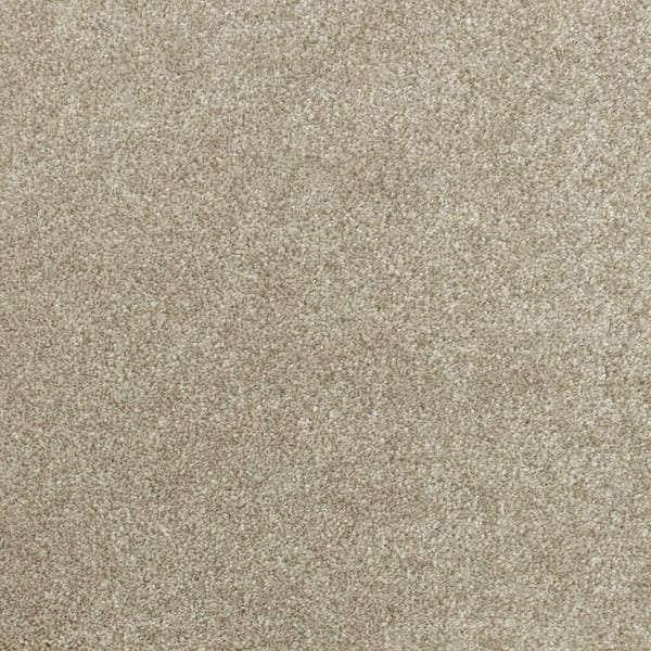 Denfort - Picnic-Brown 70 oz. Triexta PET Texture Installed Carpet