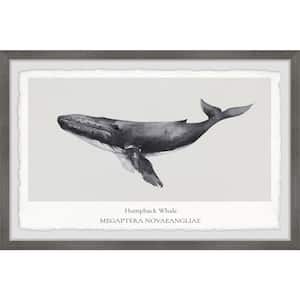 "Megaptera Novaeangliae" by Marmont Hill Framed Animal Art Print 24 in. x 36 in.