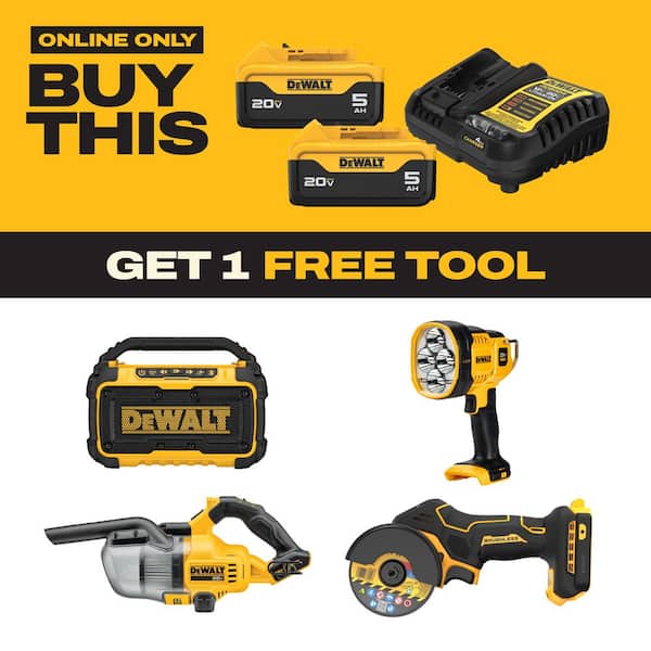 20V MAX Lithium-Ion Battery Starter Kit with 5.0 Ah Batteries (2-Pack) and Charger