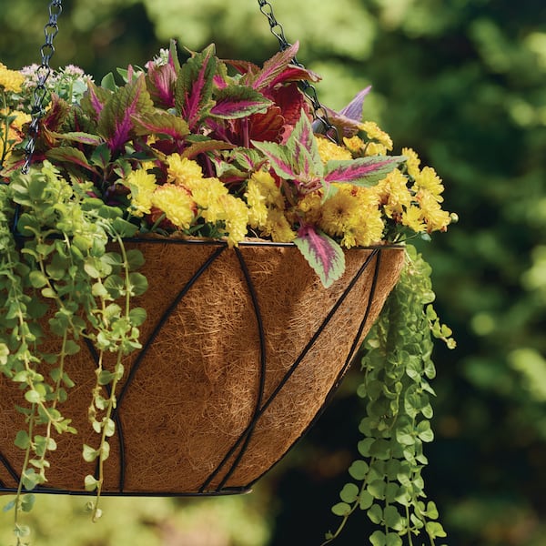 Vigoro HydroSave Metal Premium Hanging Planter Basket with Coco