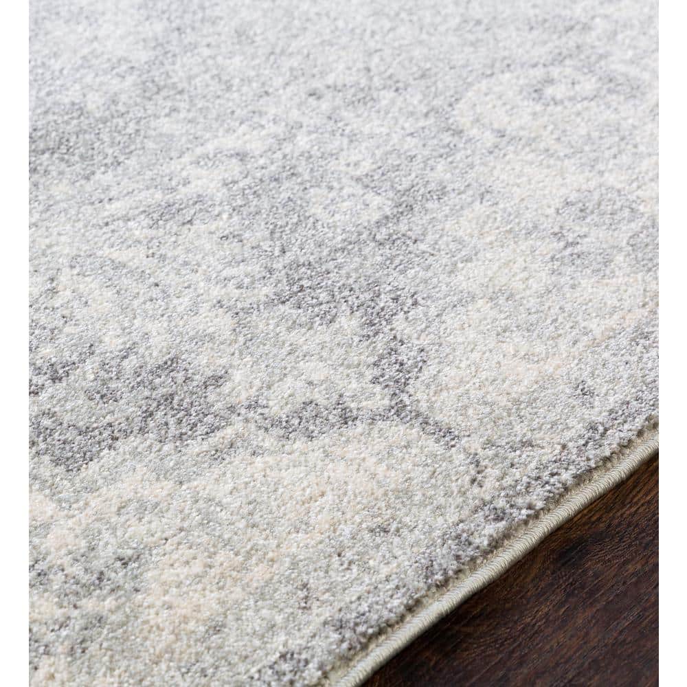 Gray Vintage Medallion Polypropylene Runner Rug, 2'7" x 7'3"