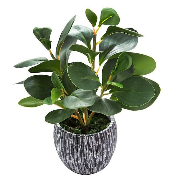 11.2 in. Green Indoor/Outdoor Artificial Fiddle-Leaf Fig-A Lifelike Evergreen Plant in a Rustic Black Cement Planter