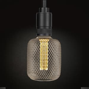 25W Equivalent Dimmable Vintage Oversized E26 LED Light Bulb With Mesh Cage Acrylic Filament Matte Gold Soft White 2700K