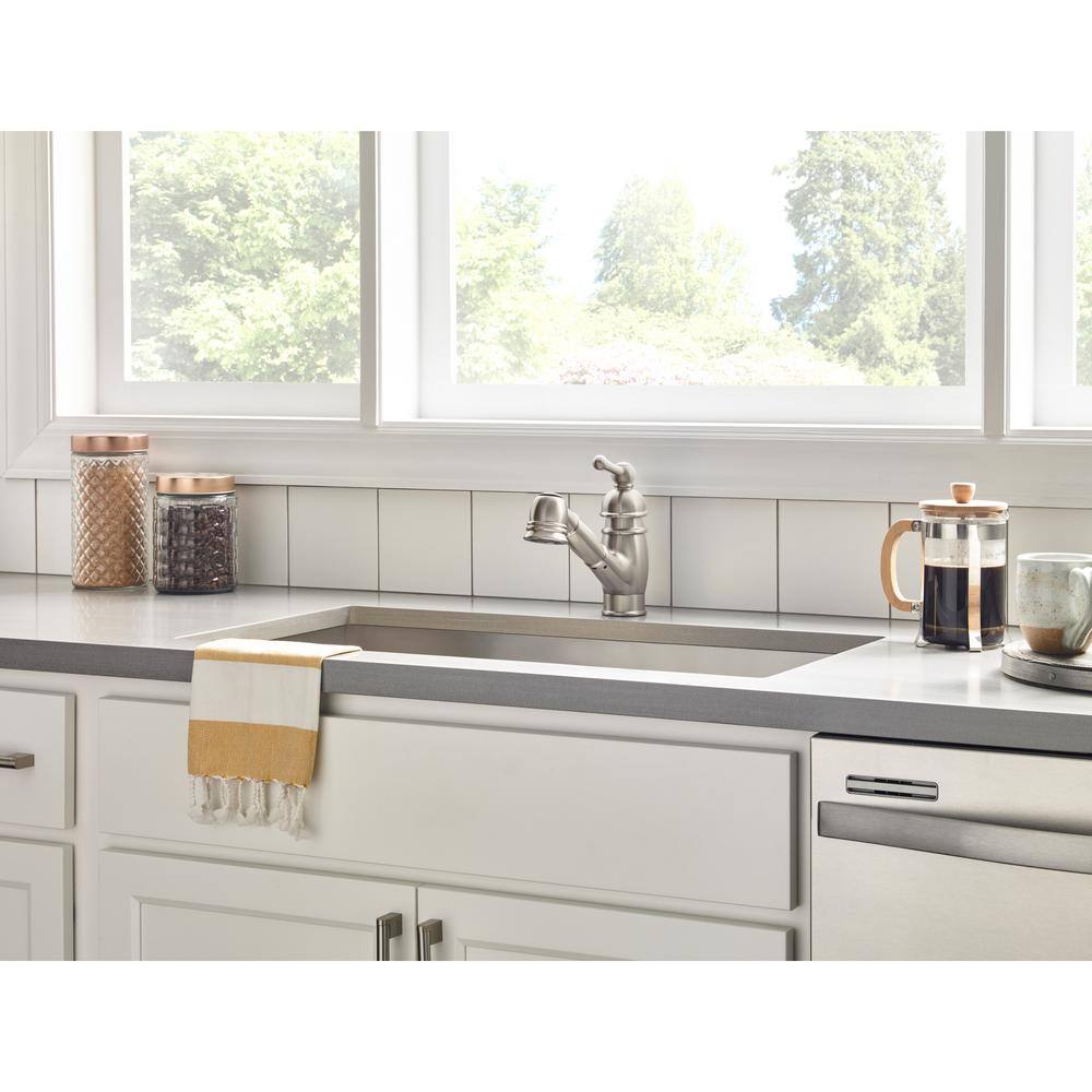 Stainless Steel Traditional Pull-Out Kitchen Faucet with Spray