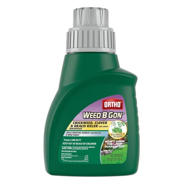 Ortho Weed B Gon 16 oz. Chickweed, Clover & Oxalis Killer for Lawns Concentrate