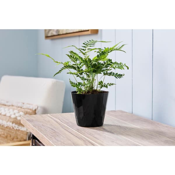 4.8 in. Concord Small Black Recycled Plastic Planter (4.8 in. D x 4 in. H) with Attached Saucer