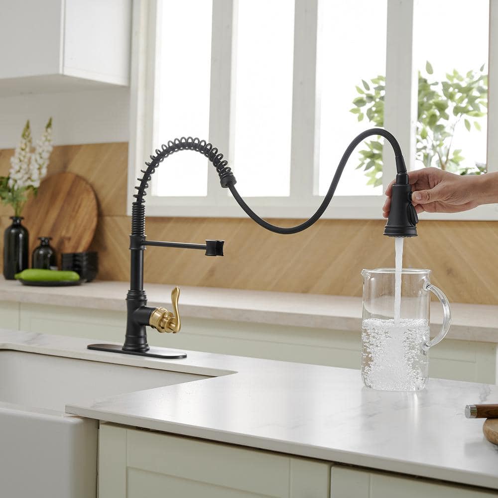 Matte Black and Gold High-Arc Kitchen Faucet with Pull-Out Spray