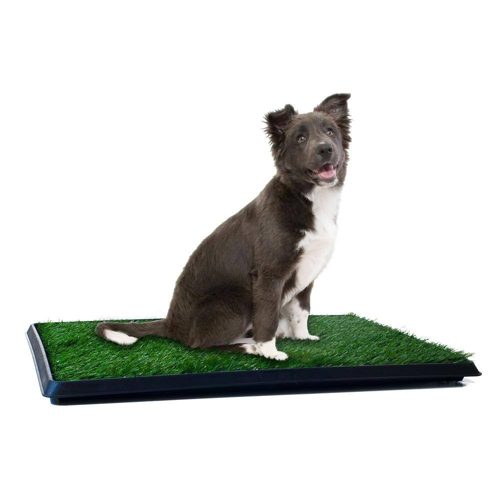Medium Artificial Grass Puppy Potty Trainer with Tray