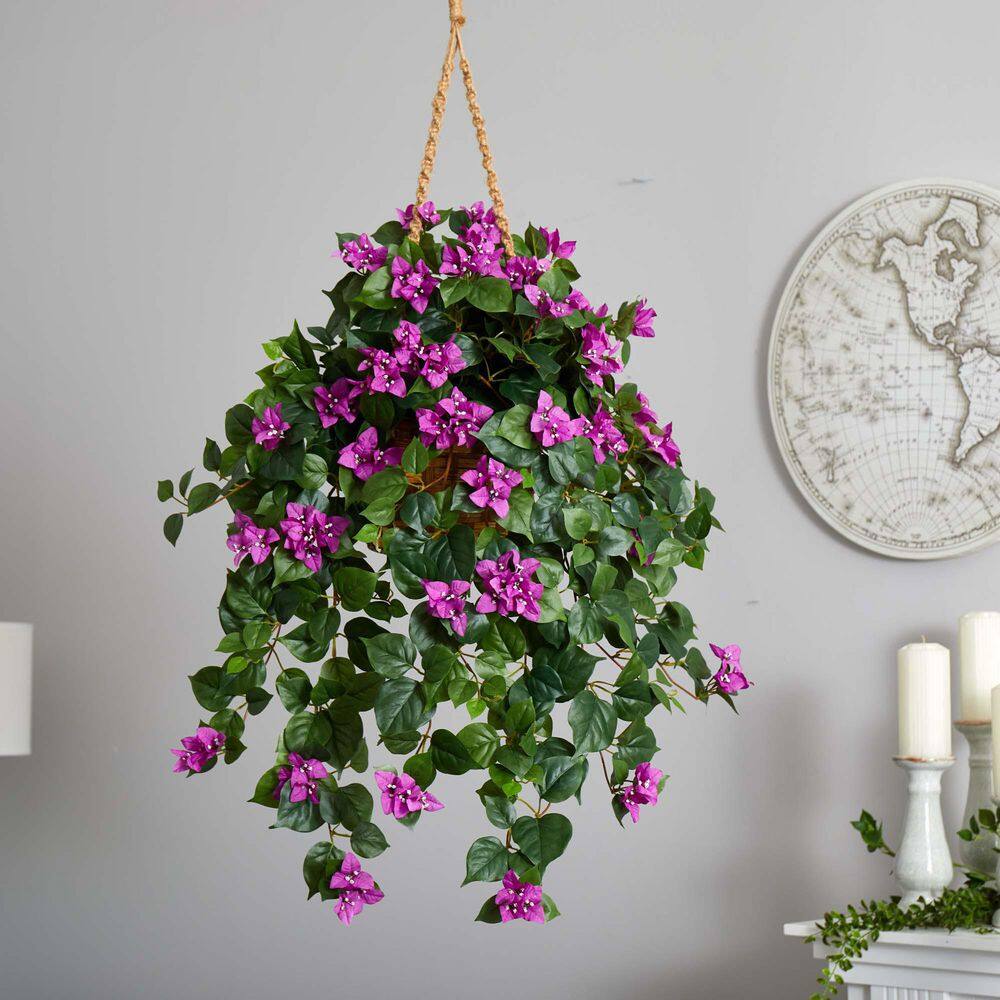 Elegant Outdoor Bougainvillea in Wooden Hanging Basket