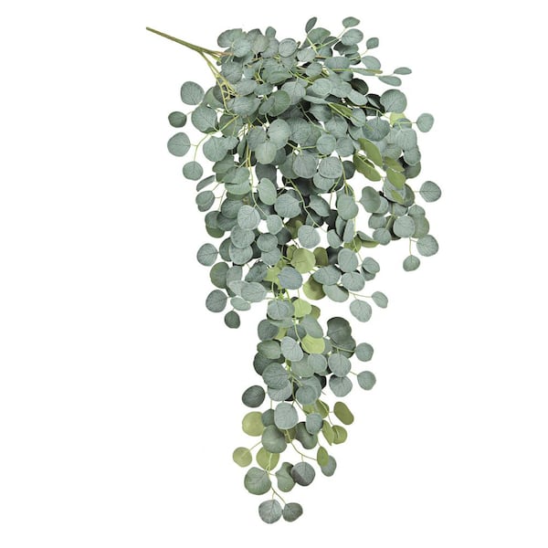 52 in. Frosted Green Artificial Silver Dollar Eucalyptus Hanging Plant Greenery Foliage Bush (Set of 2)