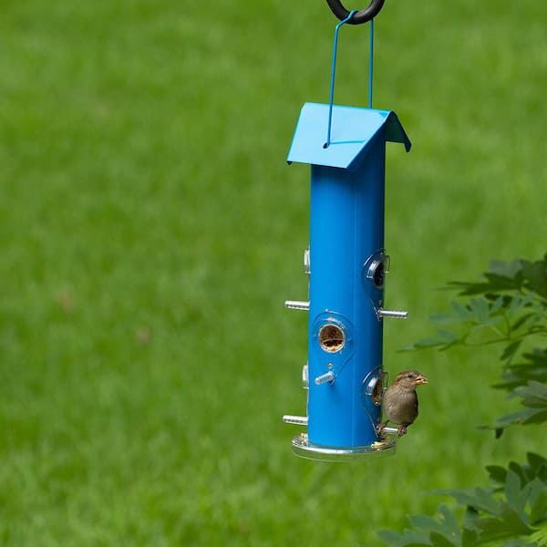 Perky-Pet 1 lb Blue Metal Tube Wild Bird Feeder