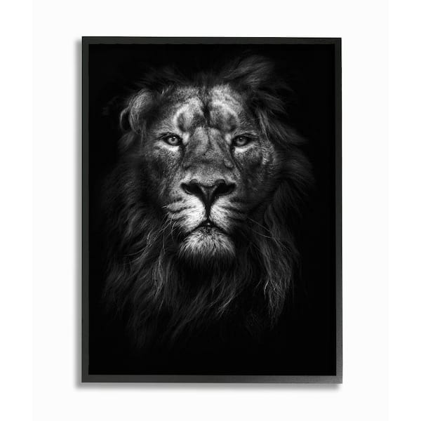 Stupell Industries 16 in. x 20 in. "King of the Jungle Lion In Shadows Black and White Photography" by Design Fabrikken Framed Wall Art