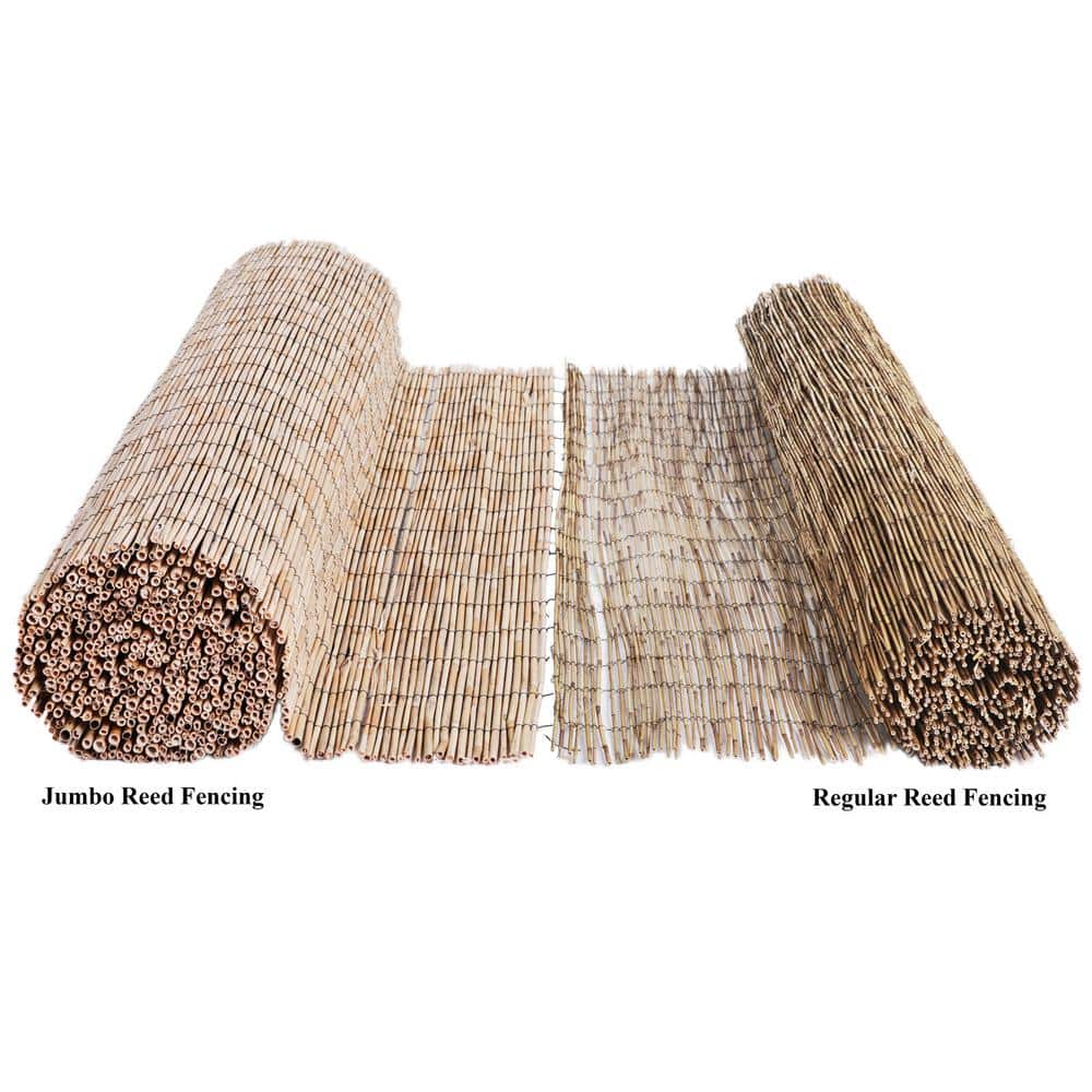 Natural Jumbo Reed Bamboo Garden Fence Screen 6 ft H x 16 ft L