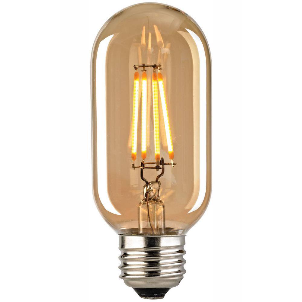 Titan Lighting Filament Medium LED Bulb With Light Gold Tint TN-75861 - The  Home Depot